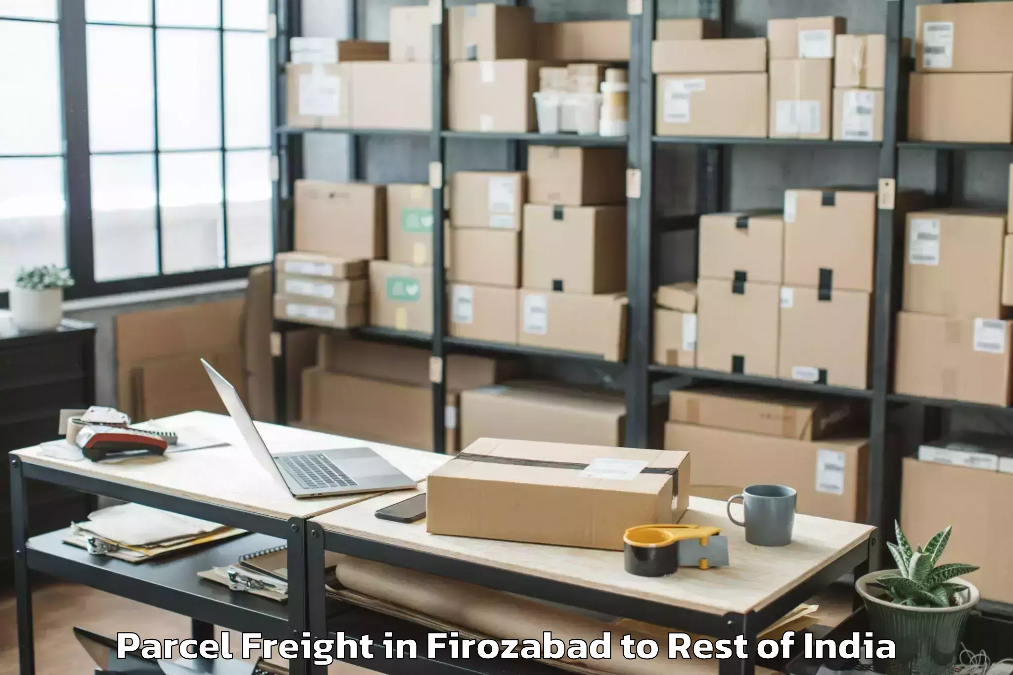 Top Firozabad to Gool Gulabgarh Parcel Freight Available